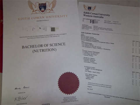˹Ĵѧƾ Edith Cowan University Diploma