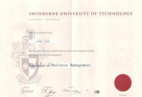 ˹ѧƾDiploma from Swinburn Institute of Tec