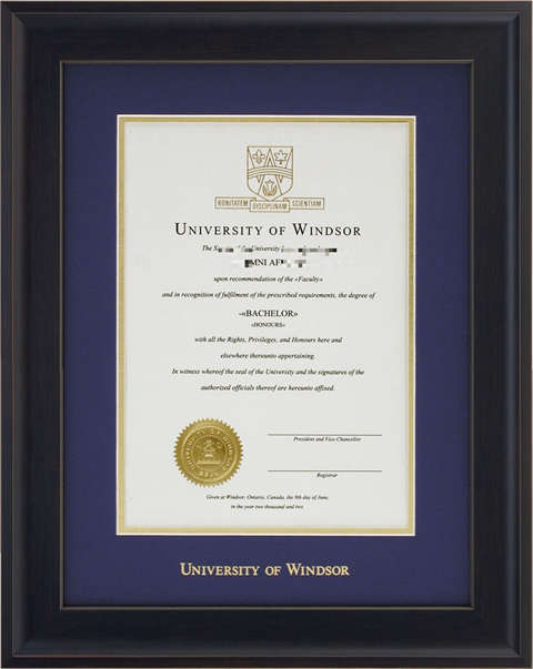ôɯѧƾDiploma from the University of Windsor,