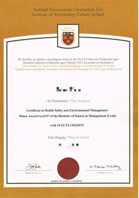 ѧԺƾDiploma from Carlo Institute of Techno