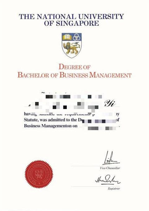 ¼¹ѧƾDiploma from National University of Sing