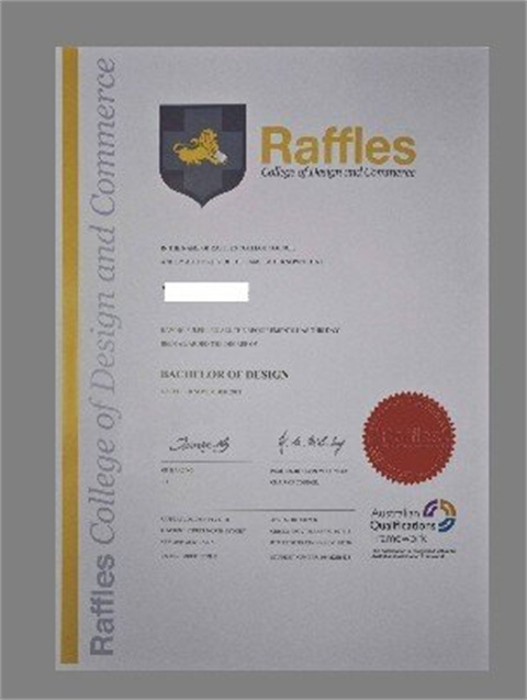 ¼ʿѧƾBachelor's degree from Raffles Univer