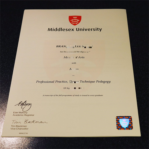 Ӣܵ˹ѧƾDiploma from the University of Middlese