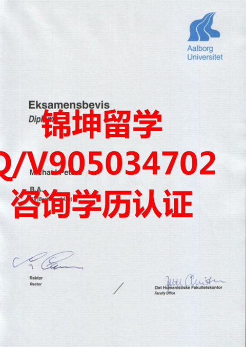 ¶ѧƾDiploma from Aalborg University in Denma