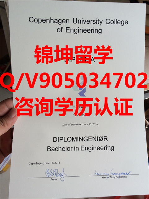 籾ѧƾDiploma from the University of Copenhag