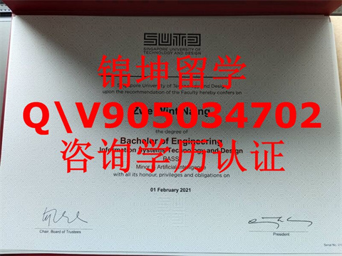 ¼¿ƼƴѧƾSUTDSUTD Diploma from Singapore Univer