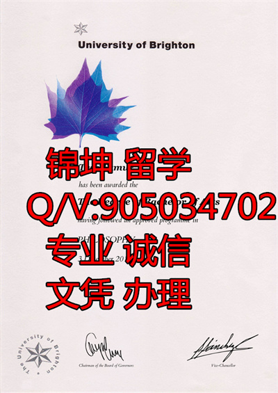 �����ٴ�ѧ��ƾ��Diploma from Brighton University