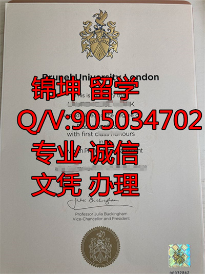 ����˹�д�ѧ��ƾ��Diploma from the University of Bristol