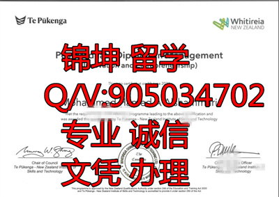 ά�����ǹ�������ѧԺ��ƾ��Diploma from Vitoria National Institu