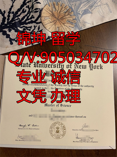 �����ٴ�ѧ��ƾ��Diploma from Binghamton University