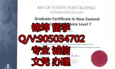 ���׵�������ѧԺ��ҵ֤,Graduation Certificate of Prenti Bay I