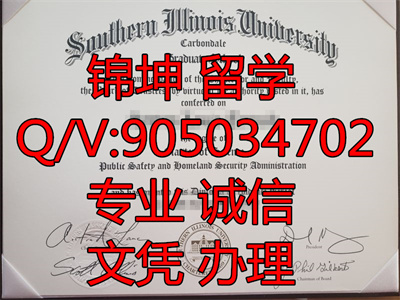 ������ŵ��˹��ѧ��ҵ֤,Graduation Certificate from Southern I