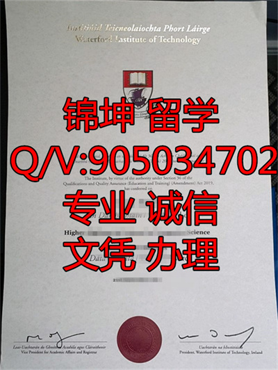 ��˹¡����ѧԺ��ƾ��Diploma from Aslon Institute of Technolo