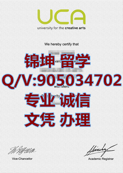 ����������ѧ��ƾ��University Diploma in Creative Arts