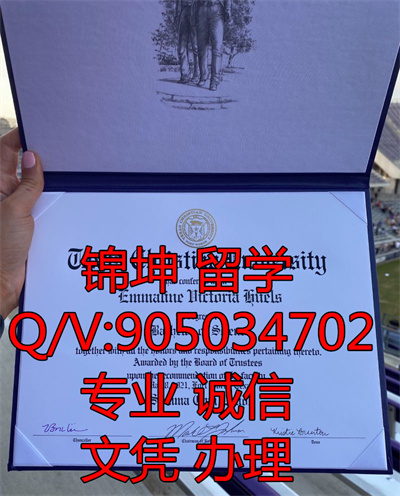 �ÿ���˹����˹͡��ѧ��ƾ��Diploma from Kristin University in Te