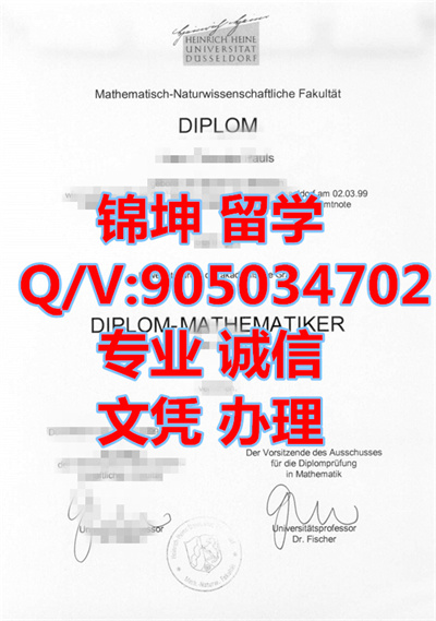 ����������ѧ��ƾ��Diploma from Dusseldorf University