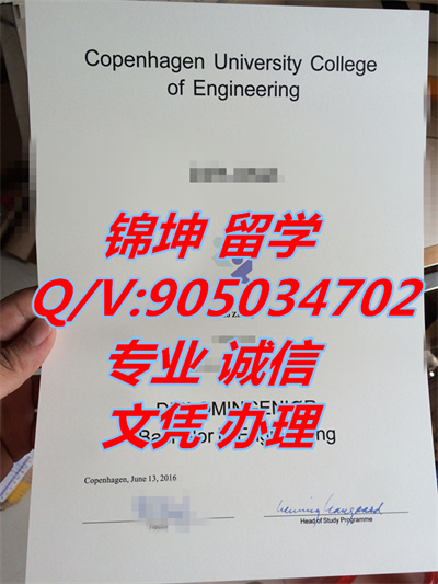 ����籾������ѧ��ƾ��Diploma from the University of Copenhag