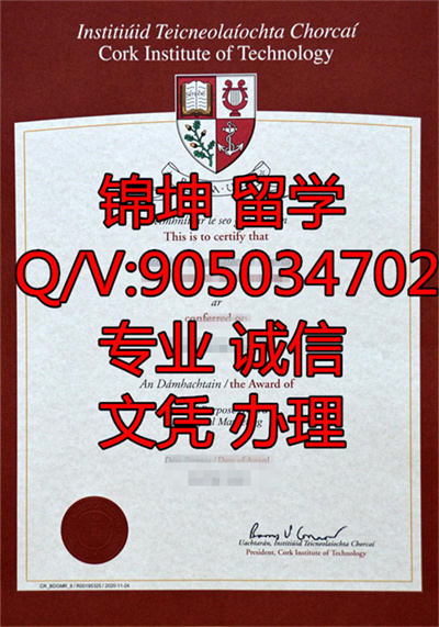 �ƿ�����ѧԺ��ƾ��Diploma from Cork Institute of Technology