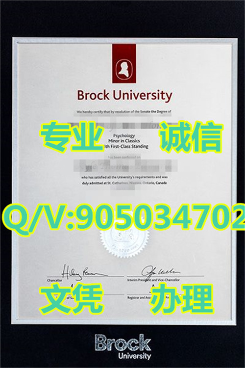 ��³�˴�ѧ��ƾ������Brooke University Diploma Sample