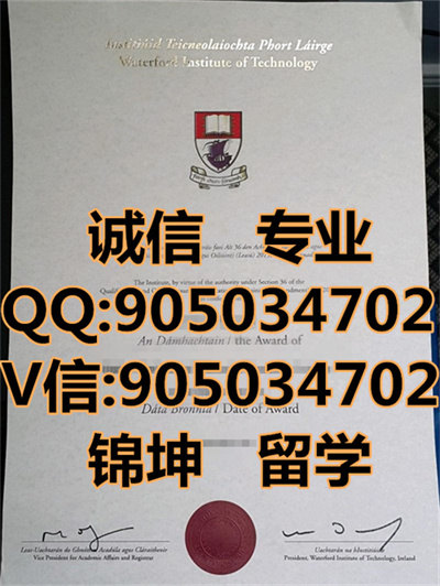 ��˹¡����ѧԺ��ƾ,Diploma from Aslon Institute of Technolo