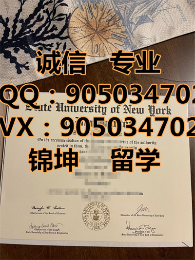 �����ٴ�ѧ��ƾ,Binghamton University Diploma