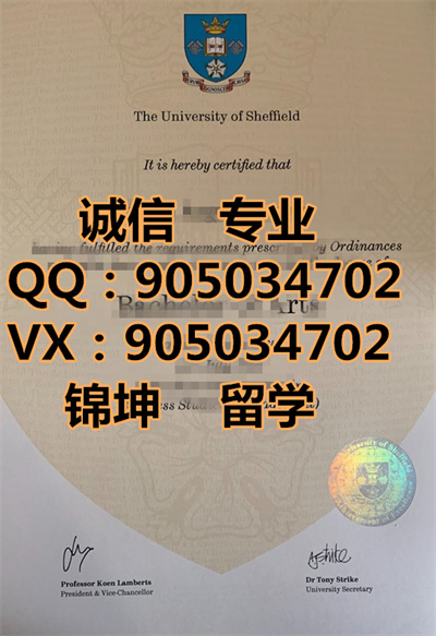 л�ƶ��´�ѧ��ƾ,Diploma from the University of Sheffield,