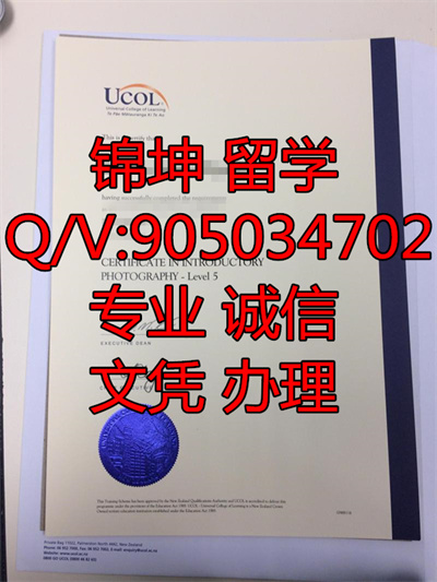 ������������ѧԺ��ƾ��Diploma from National United Institute