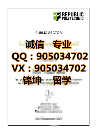 ��������ѧԺ��ƾ,Diploma from Republic Institute of Techno