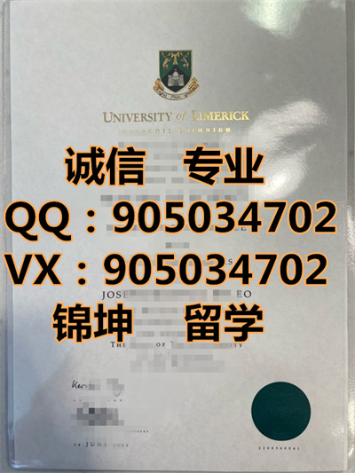 Ī˴ѧƾDiploma from Limerick University,