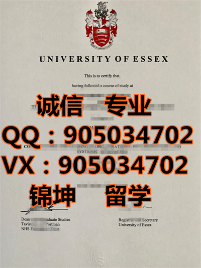 ˹ѧƾ,Diploma from the University of Essex,