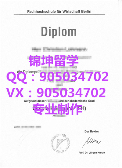 Ӧÿѧѧҵ֤,Graduation certificate from Berlin Uni