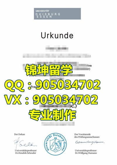 ¹˹ѧҵ֤,Graduation certificate from Duisburg U