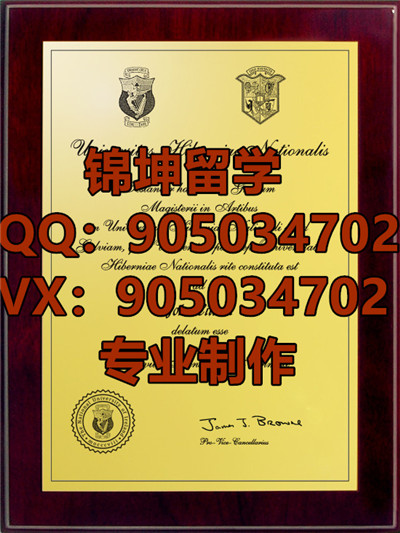 ѧƾ,Diploma from the National University of